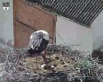 Capi_Dubne_20250526_162503.jpg