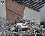 Capi_Dubne_20250526_164002.jpg