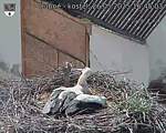 Capi_Dubne_20250526_164503.jpg