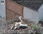 Capi_Dubne_20250526_165002.jpg