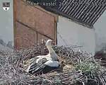 Capi_Dubne_20250526_165503.jpg