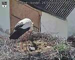 Capi_Dubne_20250526_170003.jpg