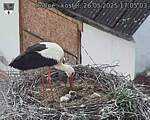 Capi_Dubne_20250526_170503.jpg