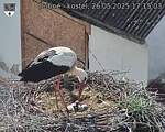Capi_Dubne_20250526_171503.jpg