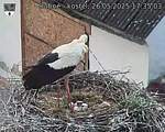 Capi_Dubne_20250526_173503.jpg