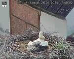 Capi_Dubne_20250526_174002.jpg