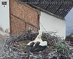 Capi_Dubne_20250526_175003.jpg