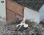 Capi_Dubne_20250526_175503.jpg