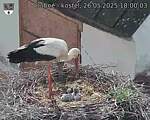 Capi_Dubne_20250526_180003.jpg