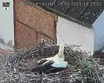Capi_Dubne_20250526_182502.jpg