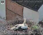 Capi_Dubne_20250526_184002.jpg