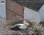 Capi_Dubne_20250526_191002.jpg
