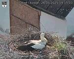 Capi_Dubne_20250526_191503.jpg