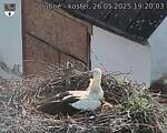 Capi_Dubne_20250526_192003.jpg