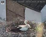 Capi_Dubne_20250526_194003.jpg