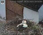 Capi_Dubne_20250526_195503.jpg