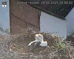 Capi_Dubne_20250526_200002.jpg