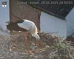 Capi_Dubne_20250526_200503.jpg