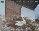 Capi_Dubne_20250526_201004.jpg