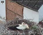 Capi_Dubne_20250526_203003.jpg