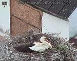 Capi_Dubne_20250526_203503.jpg