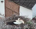 Capi_Dubne_20250526_205502.jpg