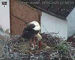 Capi_Dubne_20250526_210003.jpg
