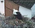 Capi_Dubne_20250526_210503.jpg