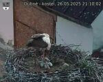 Capi_Dubne_20250526_211002.jpg