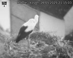 Capi_Dubne_20250526_211503.jpg