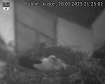 Capi_Dubne_20250526_212502.jpg