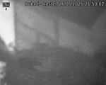 Capi_Dubne_20250526_215002.jpg