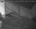 Capi_Dubne_20250526_222003.jpg