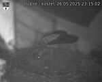 Capi_Dubne_20250526_231502.jpg