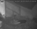 Capi_Dubne_20250526_232002.jpg