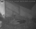 Capi_Dubne_20250526_232502.jpg