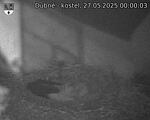 Capi_Dubne_20250527_000003.jpg