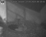 Capi_Dubne_20250527_001002.jpg