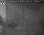 Capi_Dubne_20250527_002502.jpg