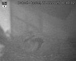 Capi_Dubne_20250527_004003.jpg