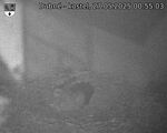 Capi_Dubne_20250527_005503.jpg