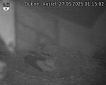 Capi_Dubne_20250527_011502.jpg