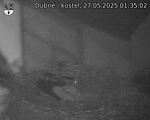 Capi_Dubne_20250527_013502.jpg