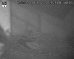 Capi_Dubne_20250527_014003.jpg