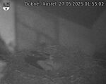 Capi_Dubne_20250527_015502.jpg