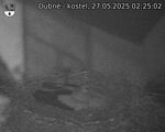 Capi_Dubne_20250527_022502.jpg