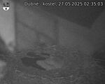 Capi_Dubne_20250527_023503.jpg