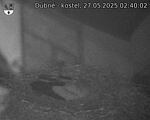 Capi_Dubne_20250527_024002.jpg