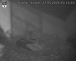 Capi_Dubne_20250527_031503.jpg