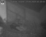 Capi_Dubne_20250527_032003.jpg